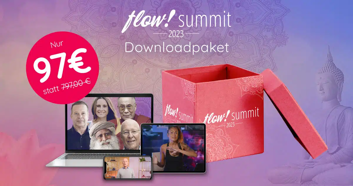 Flow Summit 2023 Paket